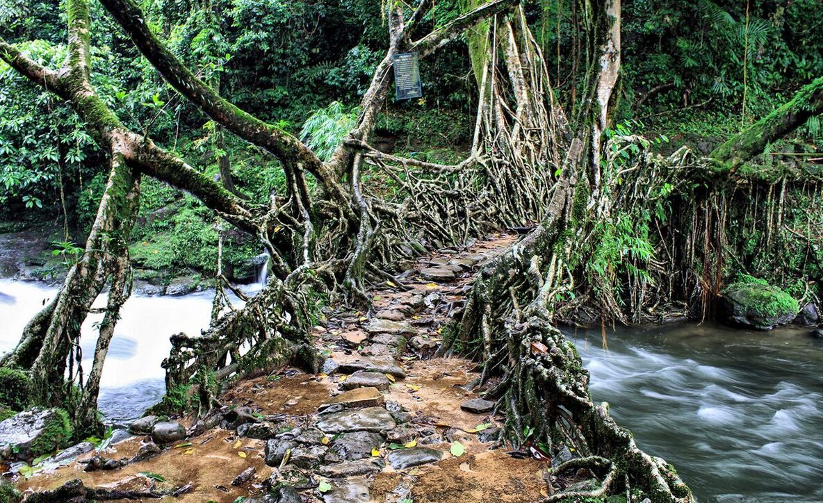 mawlynnong cleanest village asia, cleanliness village in Asia, mawlynnong homestay,